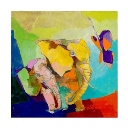 Yuval Wolfson 'The Elephant And The Butterfly I' Canvas Art,24x24